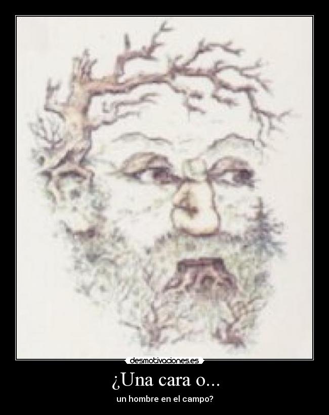 ¿Una cara o... - un hombre en el campo?