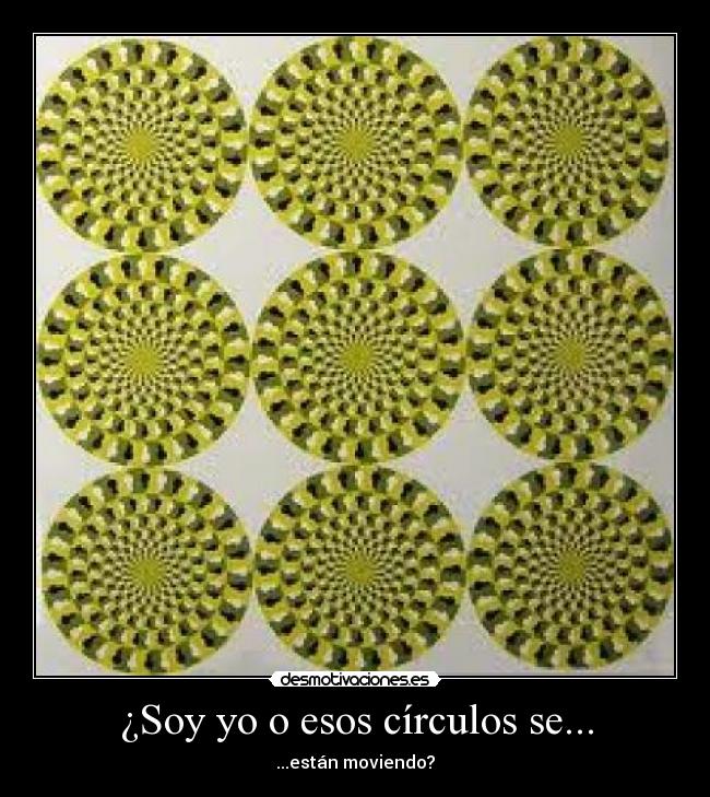 ¿Soy yo o esos círculos se... - ...están moviendo?