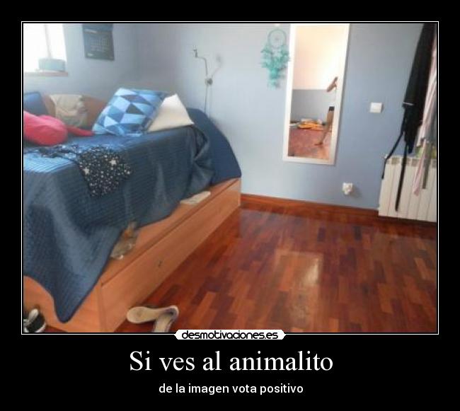 Si ves al animalito -