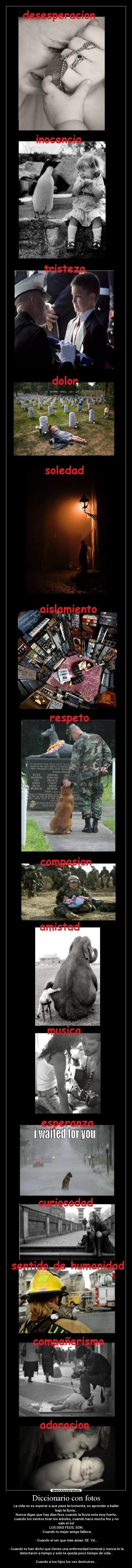 Diccionario con fotos - La vida no es esperar a que pase la tormenta, es aprender a bailar
bajo la lluvia...
Nunca digas que hay dìas feos cuando la lluvia esta muy fuerte,
cuando los vientos tiran los àrboles, cuando hace mucho frìo y no
sale el sol
LOS DIAS FEOS, SON:
- Cuando tu mejor amigo fallece,
 
- Cuando el ser que màs amas: SE  VA...
 
- Cuando te han dicho que tienes una enfermedad terminal y nunca te la
detectaron a tiempo y solo te queda poco tiempo de vida...
 
Cuando a tus hijos los ves destruirse...