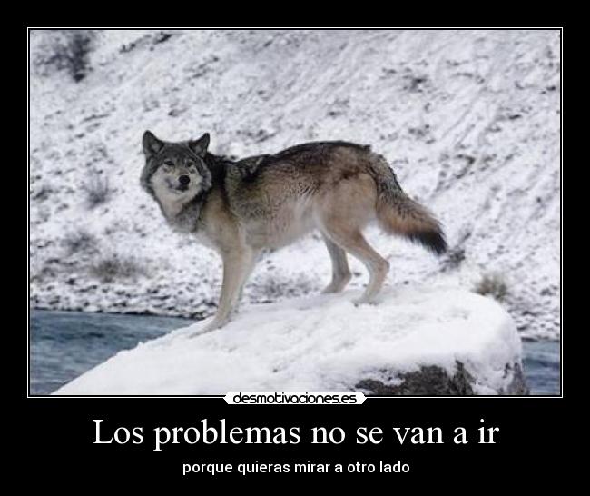 Los problemas no se van a ir - porque quieras mirar a otro lado