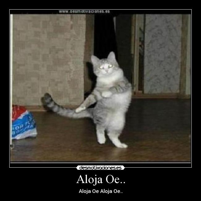 Aloja Oe.. - Aloja Oe Aloja Oe..