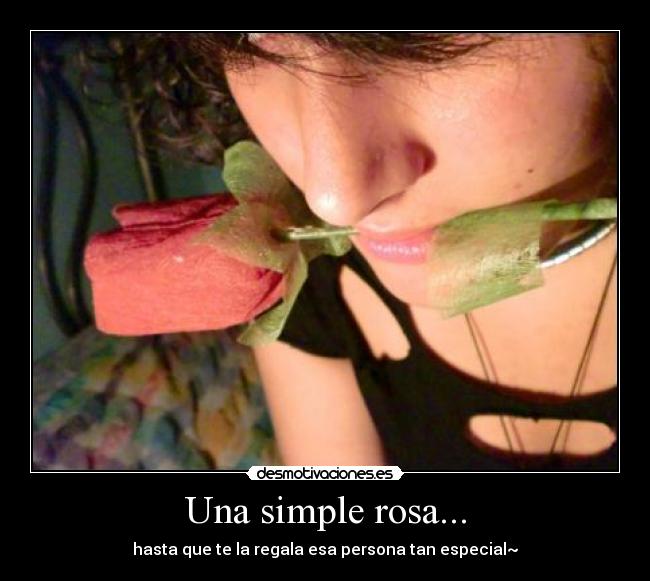 Una simple rosa... - hasta que te la regala esa persona tan especial~♥