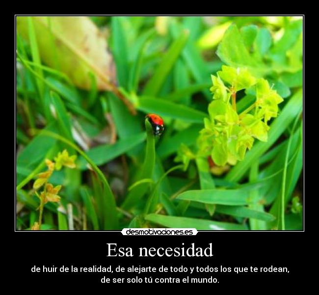 Esa necesidad - de huir de la realidad, de alejarte de todo y todos los que te rodean,
de ser solo tú contra el mundo.