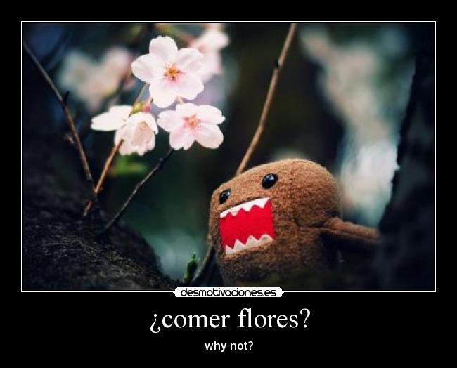 ¿comer flores? - why not?