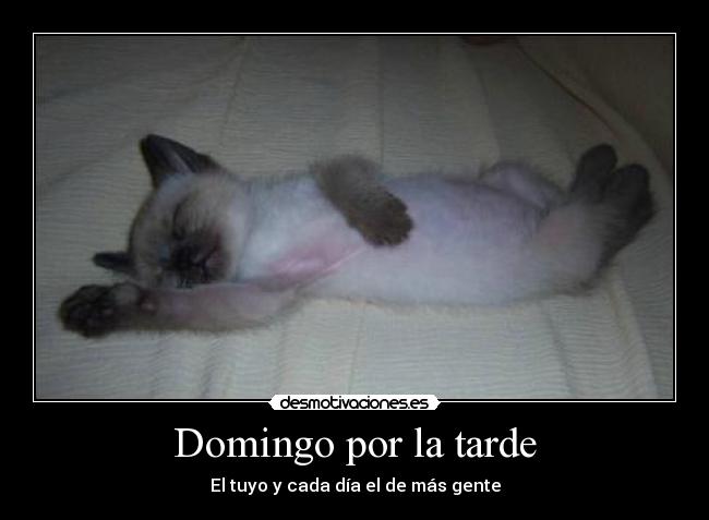 Domingo por la tarde - El tuyo y cada día el de más gente