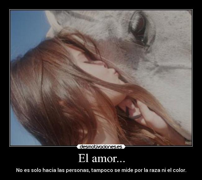 El amor... - No es solo hacia las personas, tampoco se mide por la raza ni el color.