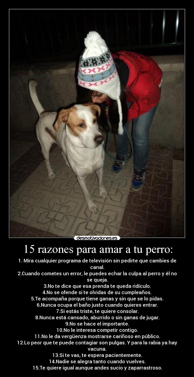 15 razones para amar a tu perro: - 1. Mira cualquier programa de televisión sin pedirte que cambies de canal.
2.Cuando cometes un error, le puedes echar la culpa al perro y él no se queja.
3.No te dice que esa prenda te queda ridículo.
4.No se ofende si te olvidas de su cumpleaños.
5.Te acompaña porque tiene ganas y sin que se lo pidas.
6.Nunca ocupa el baño justo cuando quieres entrar.
7.Si estás triste, te quiere consolar.
8.Nunca está cansado, aburrido o sin ganas de jugar.
9.No se hace el importante.
10.No le interesa competir contigo.
11.No le da vergüenza mostrarse cariñoso en público.
12.Lo peor que te puede contagiar son pulgas. Y para la rabia ya hay vacuna.
13.Si te vas, te espera pacientemente.
14.Nadie se alegra tanto cuando vuelves.
15.Te quiere igual aunque andes sucio y zaparrastroso.