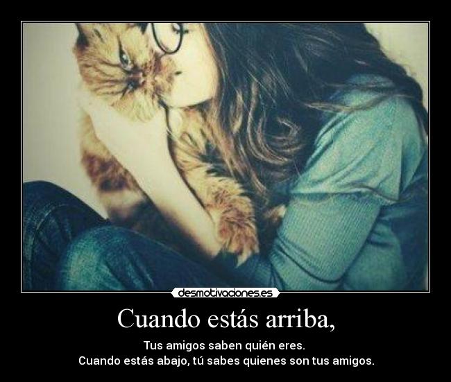 Cuando estás arriba, - Tus amigos saben quién eres.
Cuando estás abajo, tú sabes quienes son tus amigos.