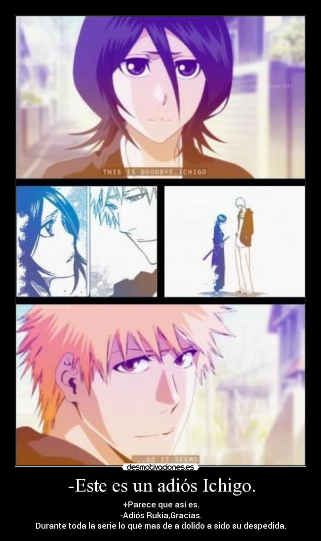 -Este es un adiós Ichigo. - +Parece que así es.
-Adiós Rukia,Gracias.
Durante toda la serie lo qué mas de a dolido a sido su despedida.