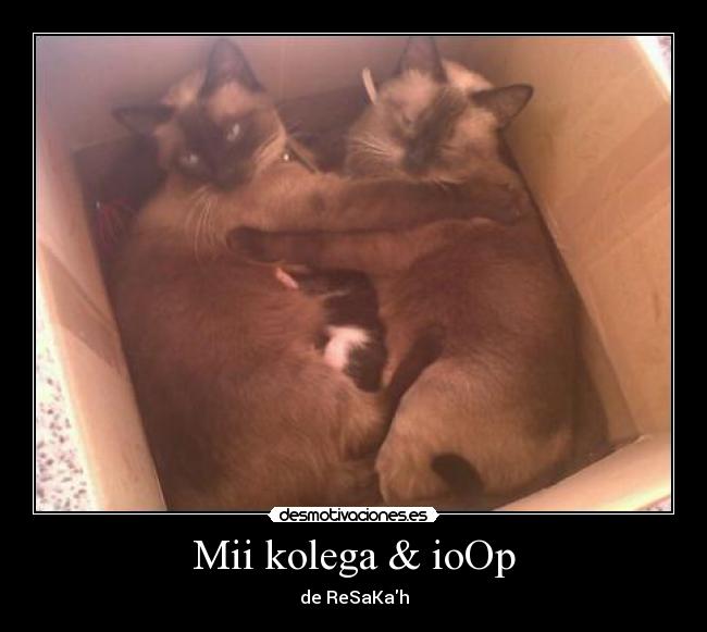 Mii kolega & ioOp - 