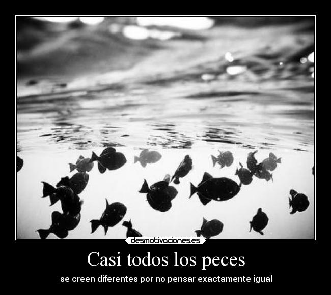 Casi todos los peces - 