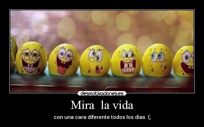 Mira  la vida - con una cara diferente todos los dias  (;