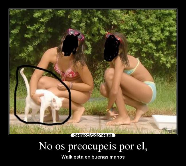 No os preocupeis por el, - Walk esta en buenas manos