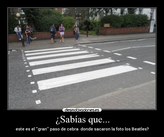 ¿Sabías que... - 