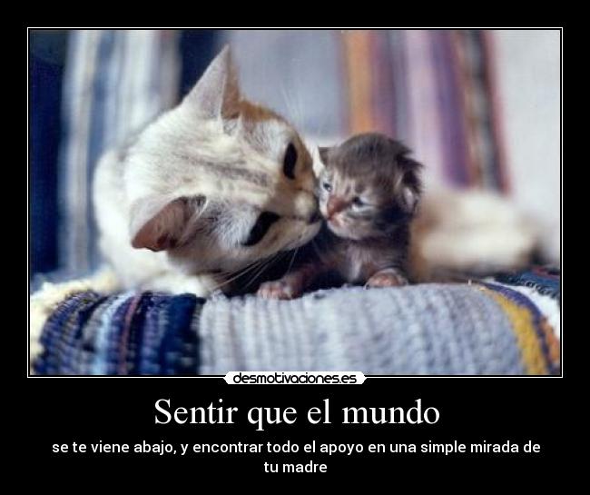 Sentir que el mundo - se te viene abajo, y encontrar todo el apoyo en una simple mirada de tu madre