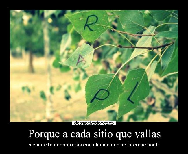 Porque a cada sitio que vallas - 