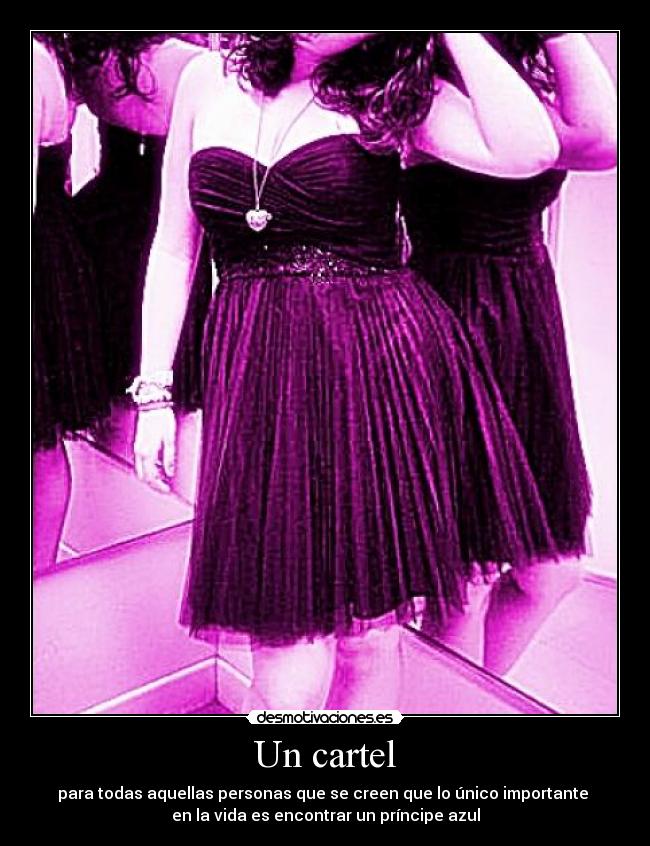 Un cartel - para todas aquellas personas que se creen que lo único importante
en la vida es encontrar un príncipe azul