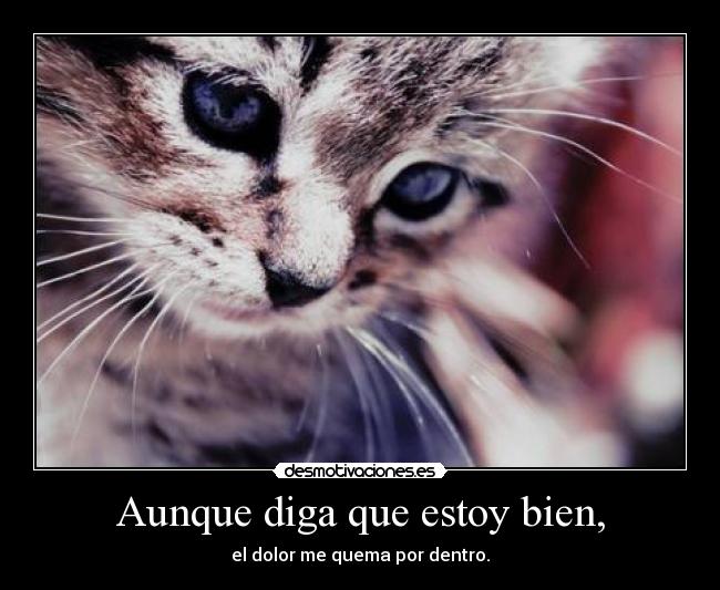 Aunque diga que estoy bien, -