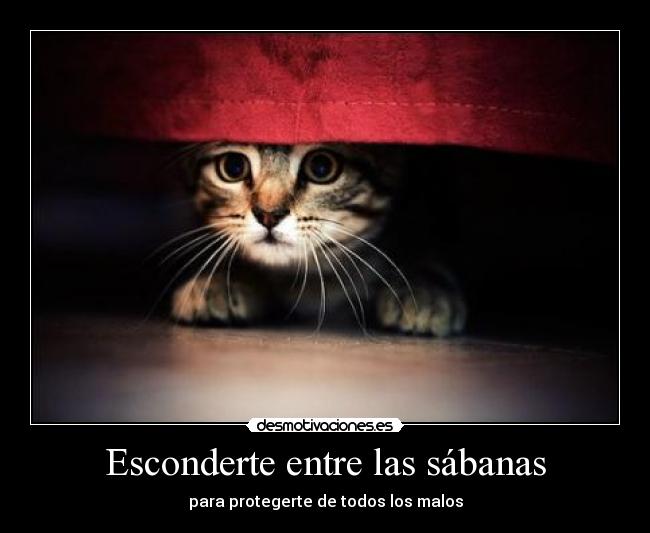 Esconderte entre las sábanas -