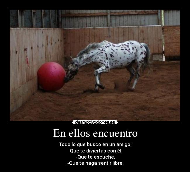 En ellos encuentro - 