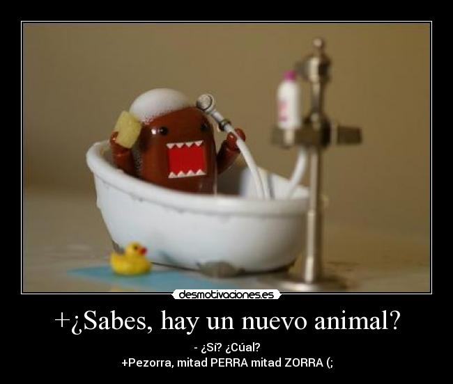 +¿Sabes, hay un nuevo animal? - 