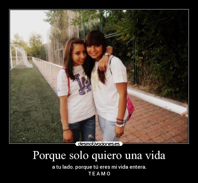 carteles vida daniela desmotivaciones