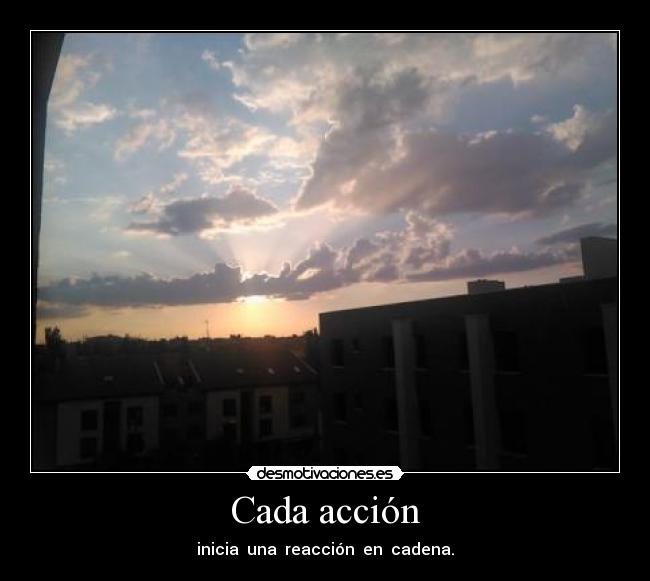 Cada acción -