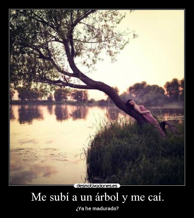 Me subí a un árbol y me caí. - 
