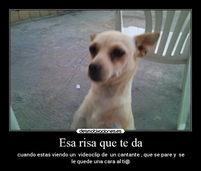 Esa risa que te da - cuando estas viendo un  videoclip de  un cantante , que se pare y  se
le quede una cara al ti@