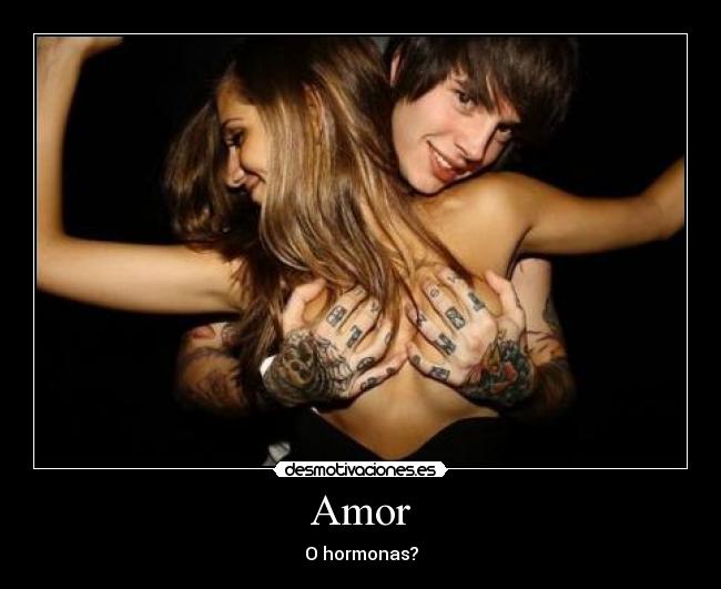 Amor - O hormonas?