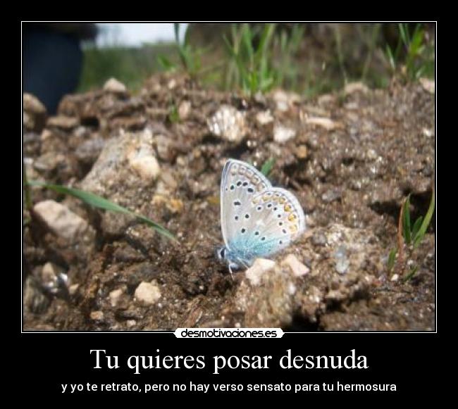 Tu quieres posar desnuda - y yo te retrato, pero no hay verso sensato para tu hermosura