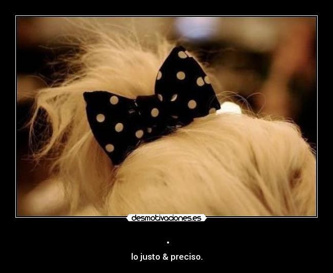 . - lo justo & preciso.