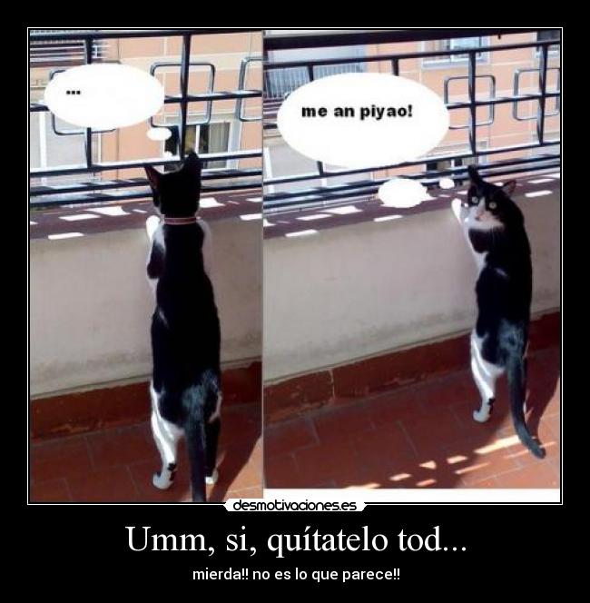 Umm, si, quítatelo tod... - mierda!! no es lo que parece!!