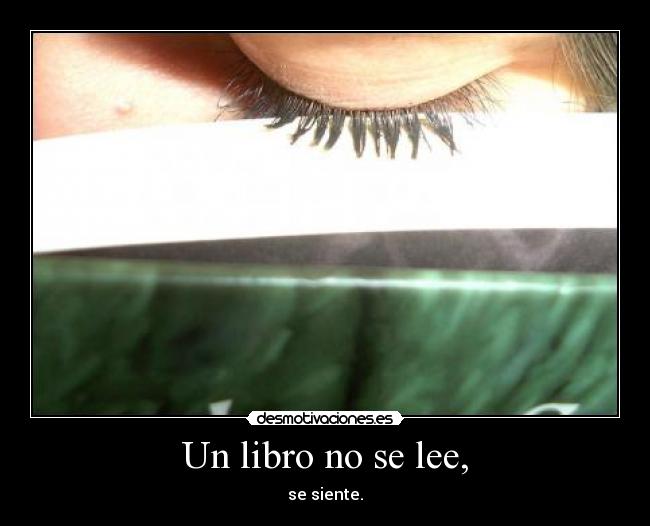 Un libro no se lee, - se siente.