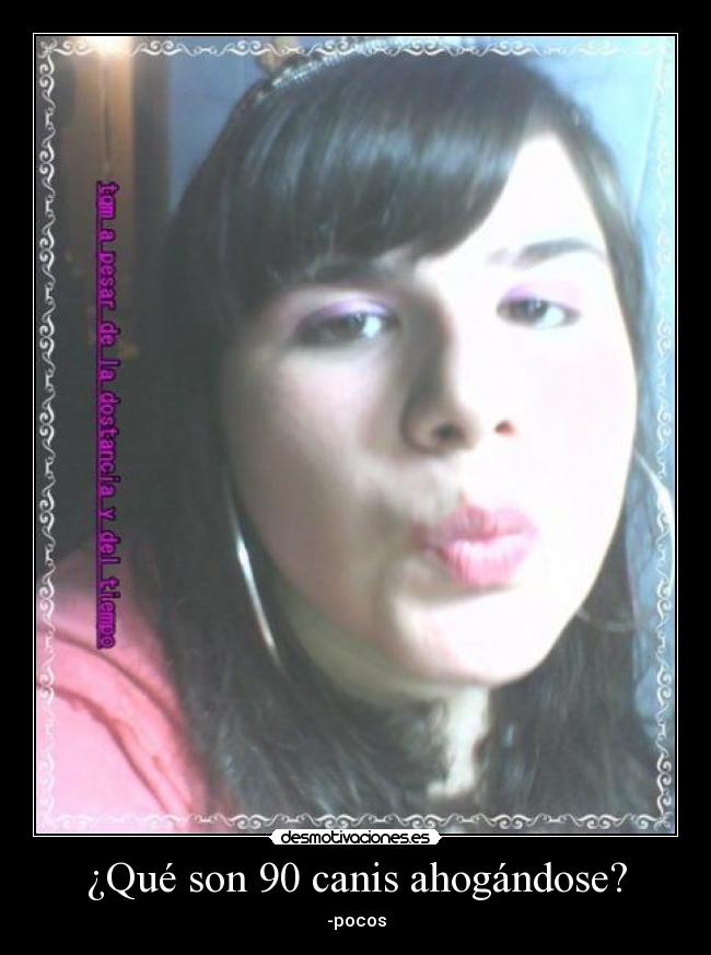 ¿Qué son 90 canis ahogándose? - -pocos