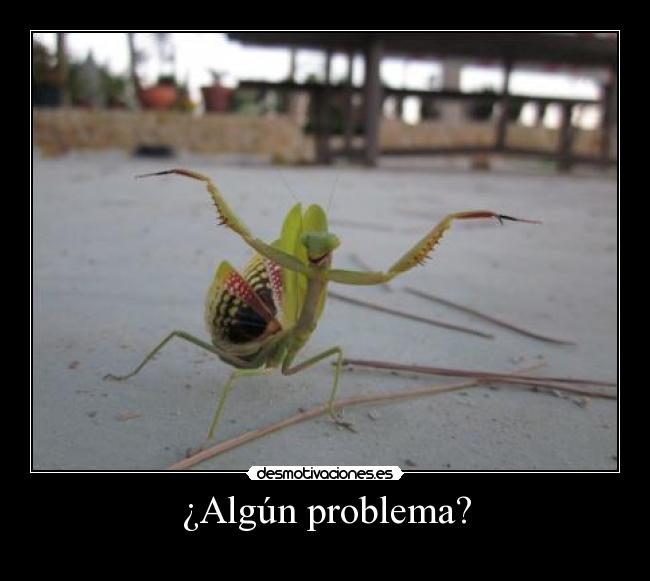¿Algún problema? - 