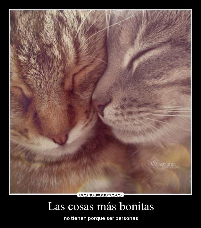 Las cosas más bonitas - 