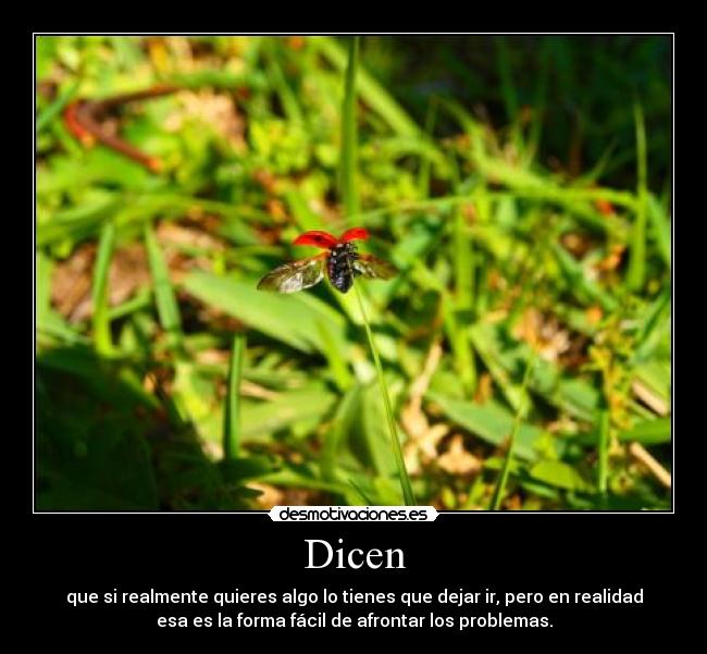 Dicen -
