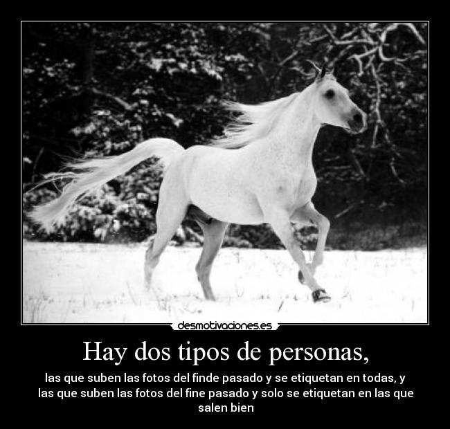 carteles leccion tuenti desmotivaciones