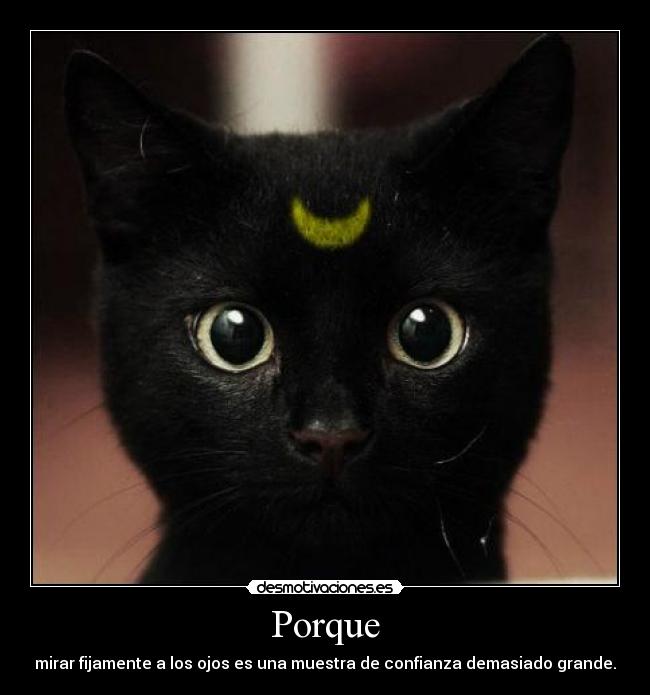 Porque -