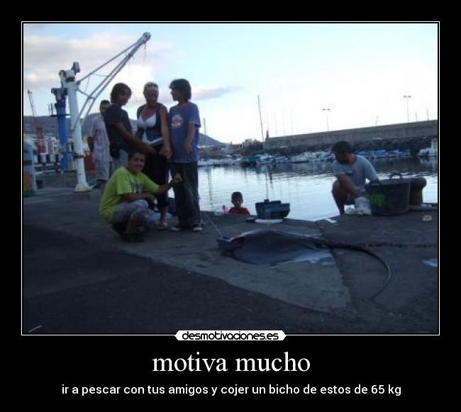 motiva mucho - ir a pescar con tus amigos y cojer un bicho de estos de 65 kg