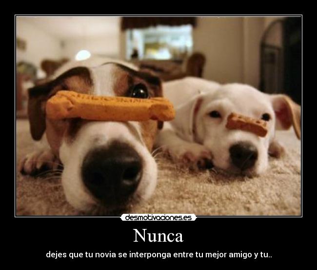 Nunca - dejes que tu novia se interponga entre tu mejor amigo y tu..