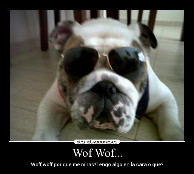 carteles wof wof ale desmotivaciones
