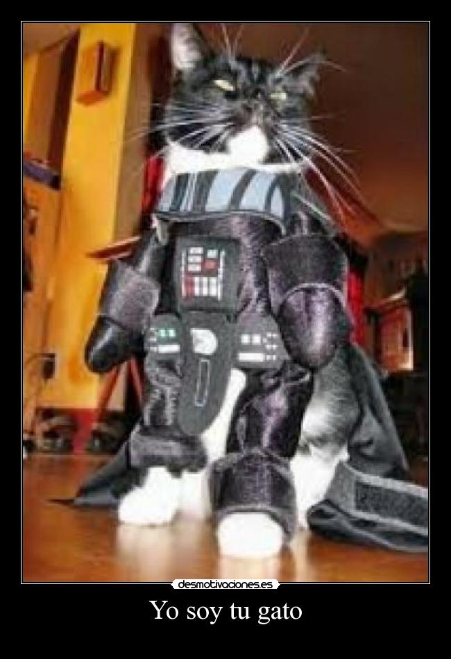 Yo soy tu gato -