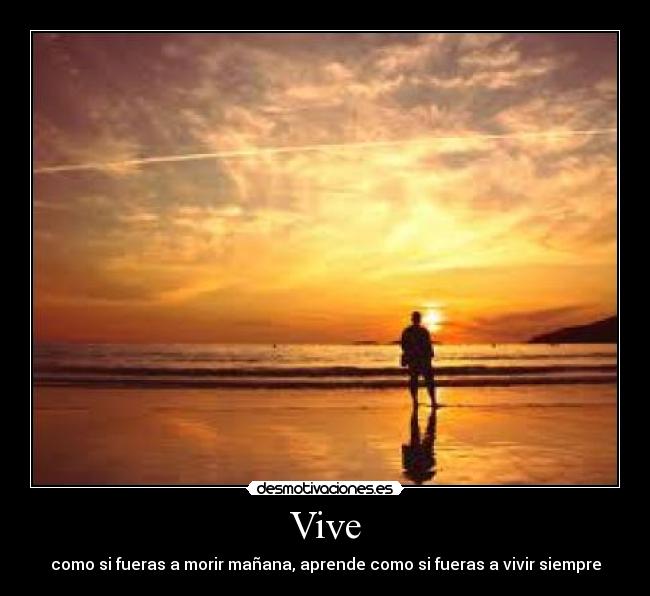 Vive - 