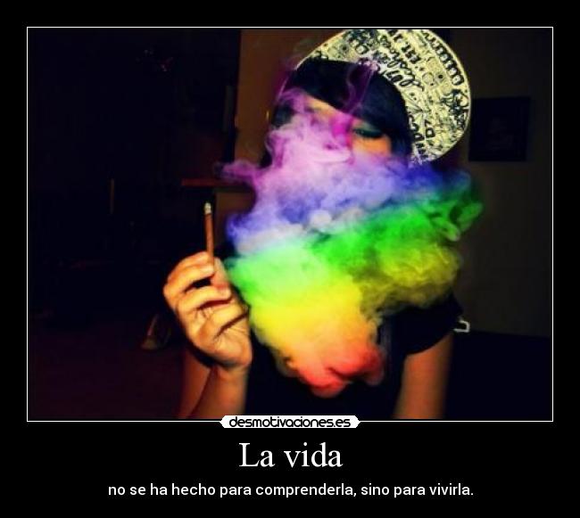 La vida - no se ha hecho para comprenderla, sino para vivirla.