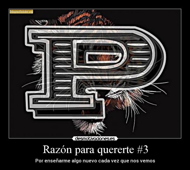 Razón para quererte #3 - Por enseñarme algo nuevo cada vez que nos vemos