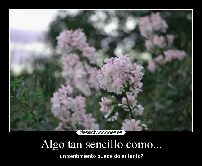 Algo tan sencillo como... - un sentimiento puede doler tanto?