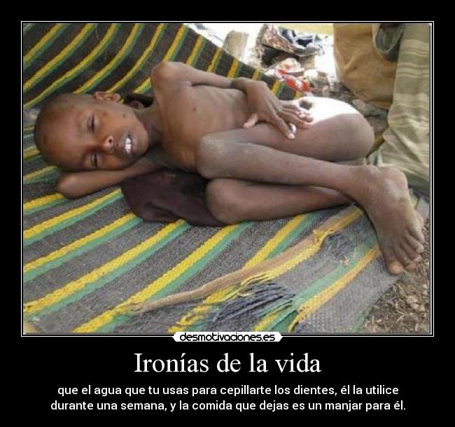 Ironías de la vida - que el agua que tu usas para cepillarte los dientes, él la utilice
durante una semana, y la comida que dejas es un manjar para él.